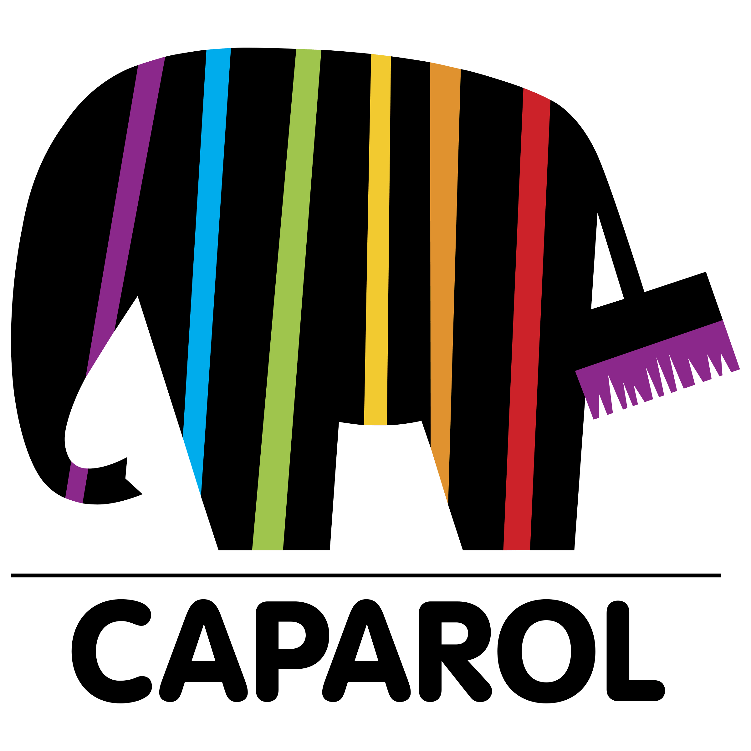caparol logo v1